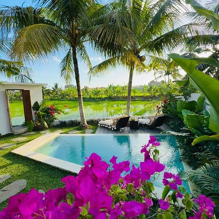 Villa Amara De'Vue Rice-Field Panoramic View W Pool Ig Ubud Esterno foto