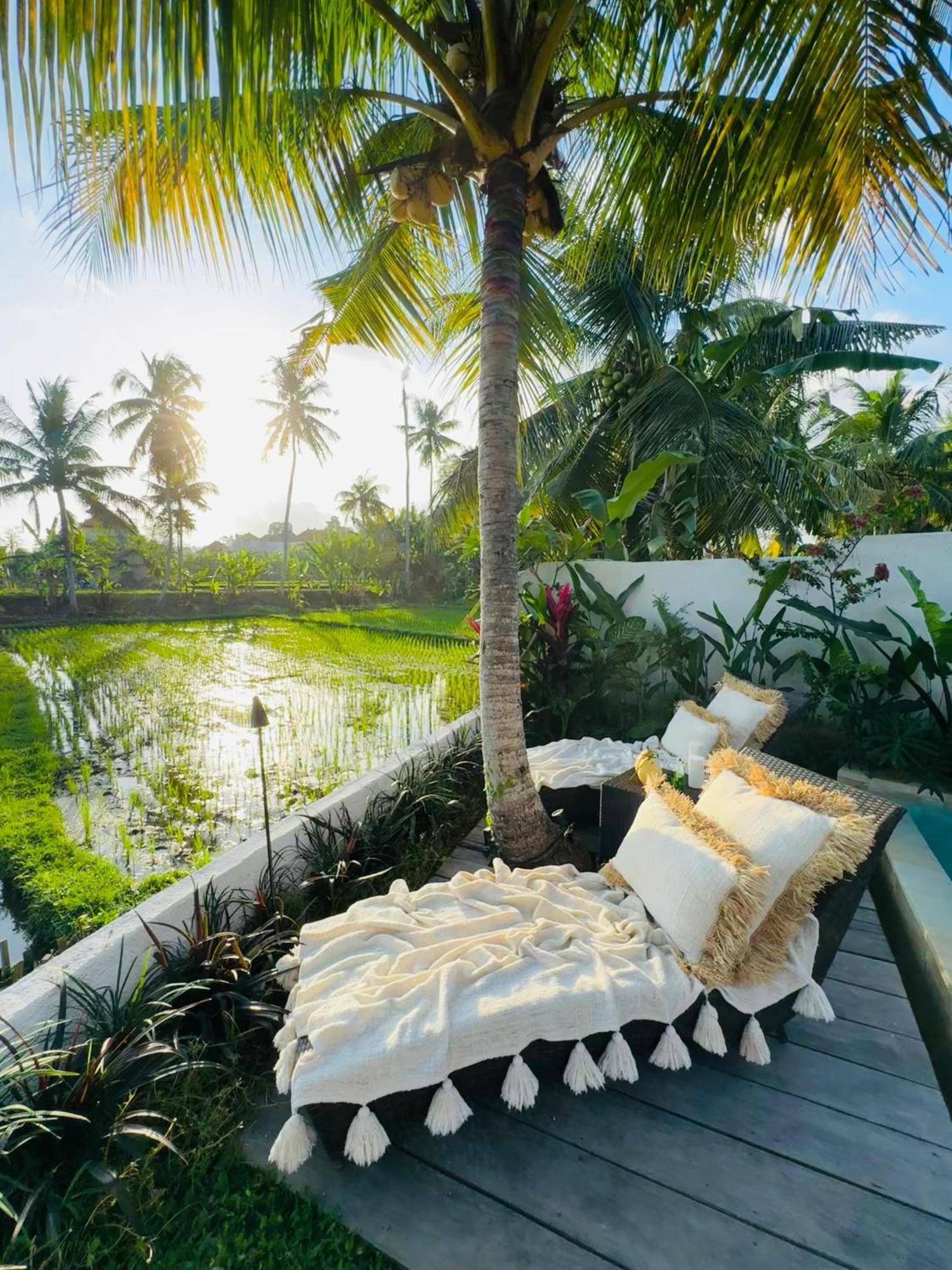 Villa Amara De'Vue Rice-Field Panoramic View W Pool Ig Ubud Esterno foto