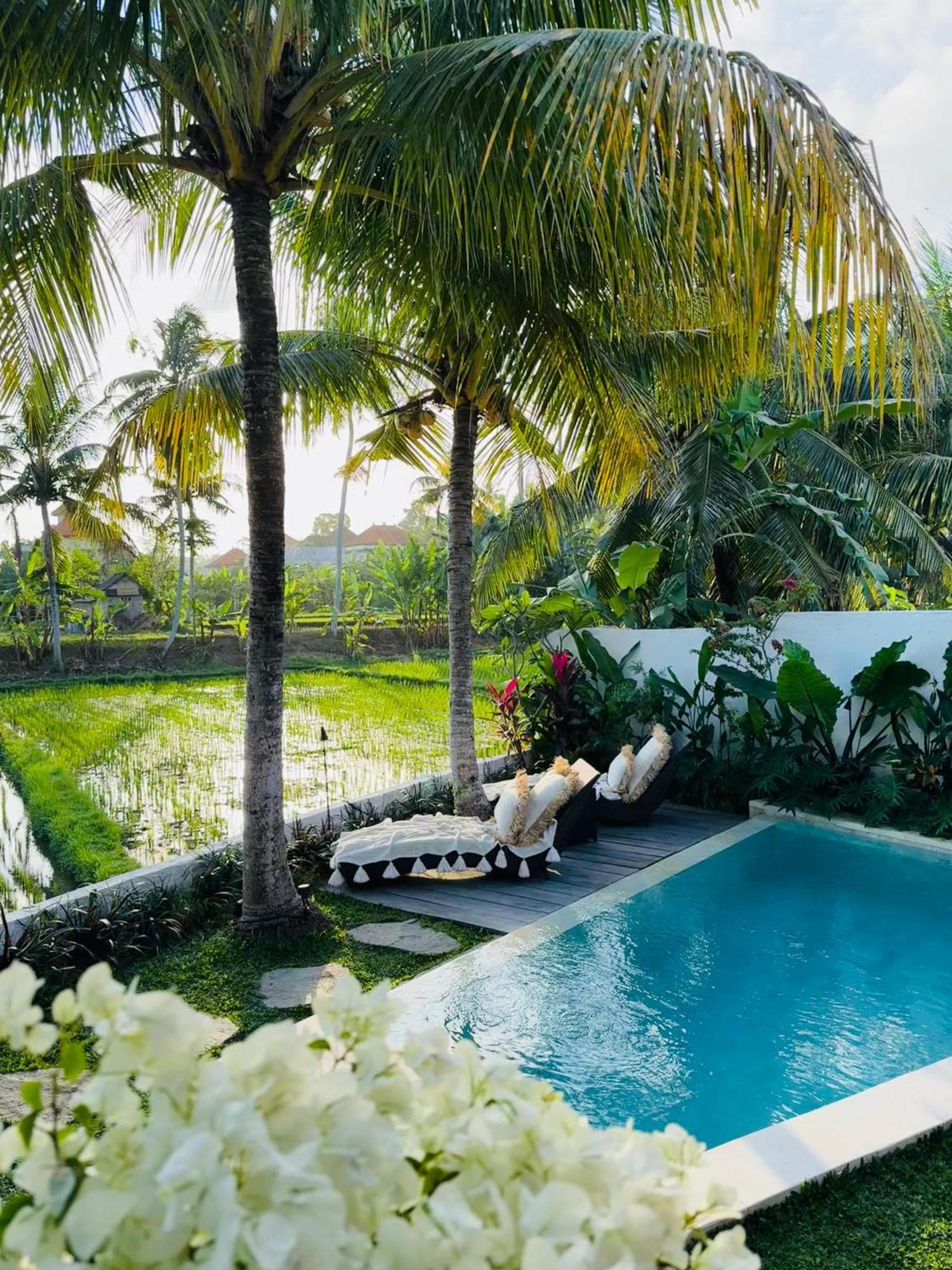 Villa Amara De'Vue Rice-Field Panoramic View W Pool Ig Ubud Esterno foto