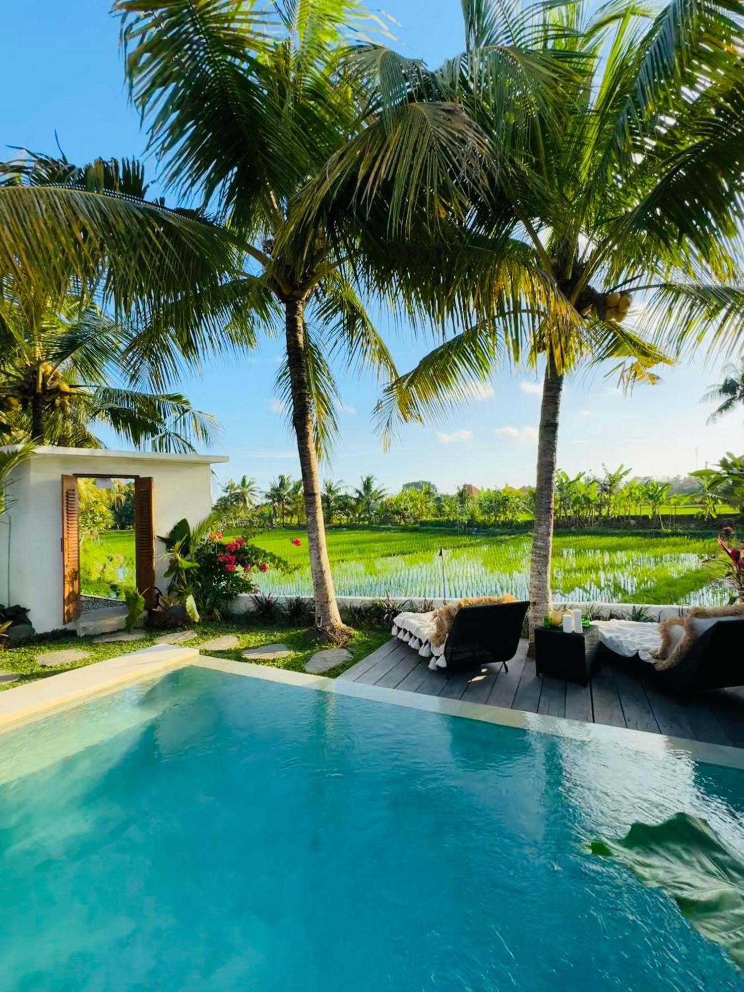 Villa Amara De'Vue Rice-Field Panoramic View W Pool Ig Ubud Esterno foto
