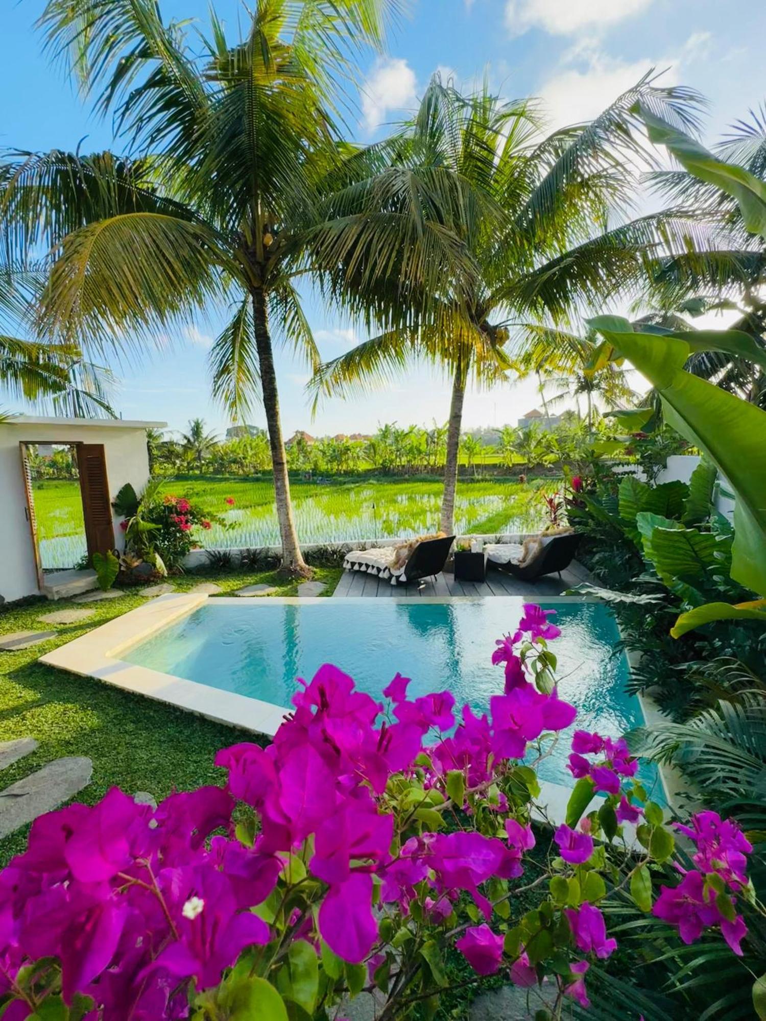 Villa Amara De'Vue Rice-Field Panoramic View W Pool Ig Ubud Esterno foto